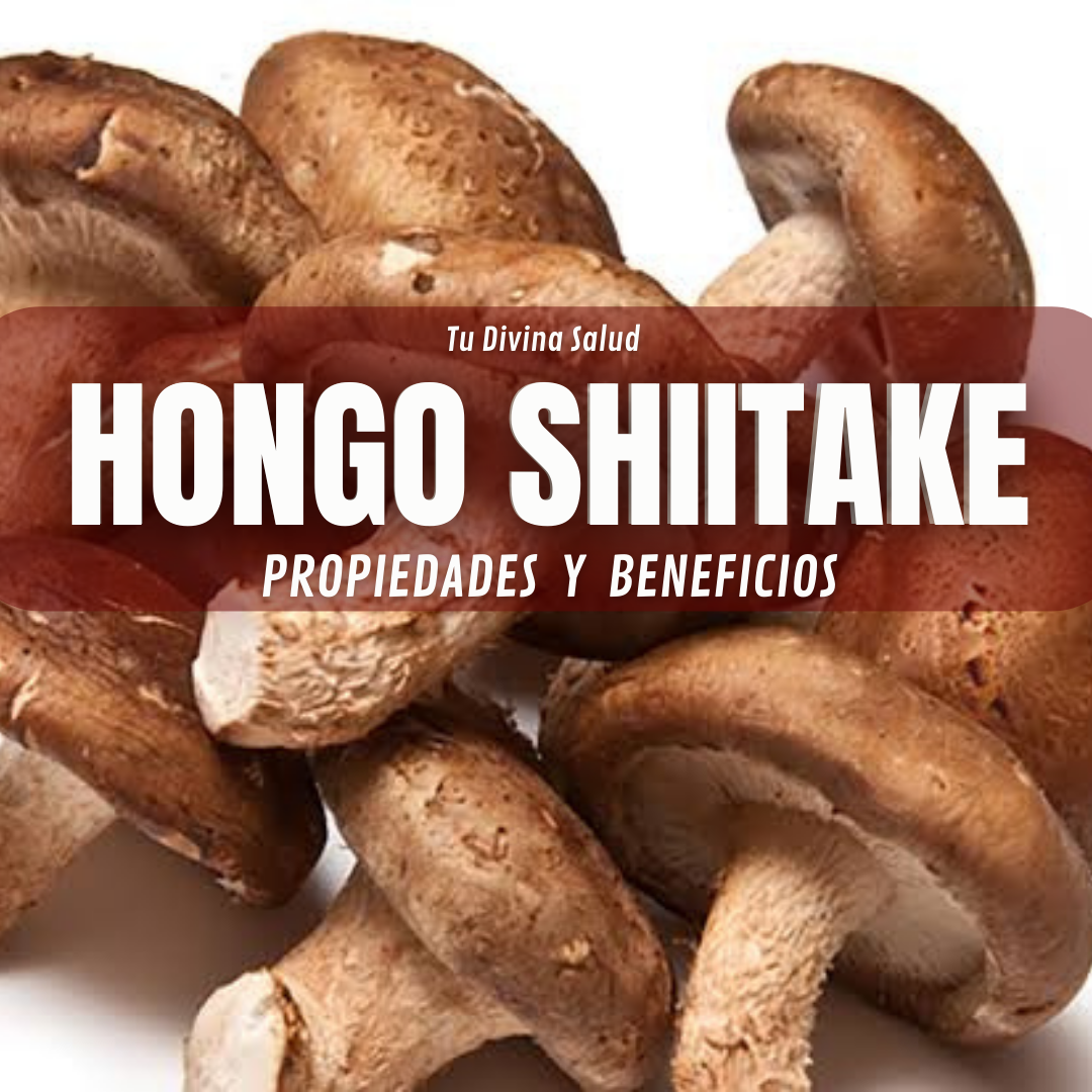 Hongo Shiitake y Beneficios Tu Divina Salud
